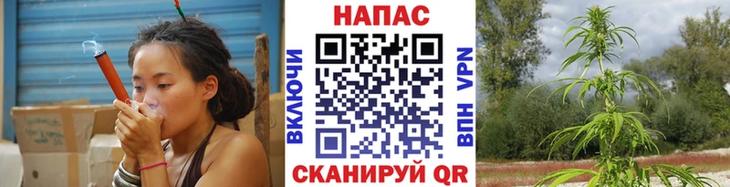 Каннабис SATIVA & INDICA Медынь